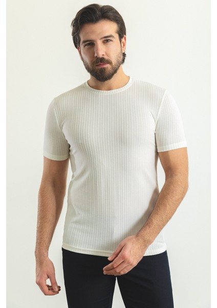 Çizgili Ekru Rengi Slim Fit Bisiklet Yaka Erkek T-Shirt
