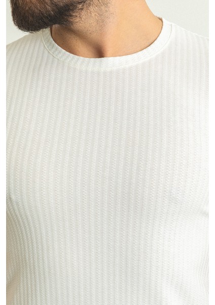 Çizgili Ekru Rengi Slim Fit Bisiklet Yaka Erkek T-Shirt fiyatları