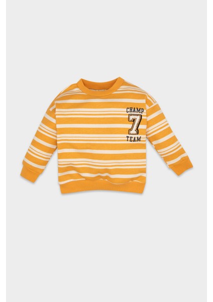 Erkek Bebek Bisiklet Yaka Çizgili İçi Yumuşak Tüylü Sweatshirt D4475A524AU