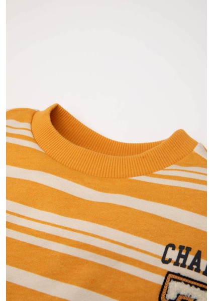 Erkek Bebek Bisiklet Yaka Çizgili İçi Yumuşak Tüylü Sweatshirt D4475A524AU fiyatları