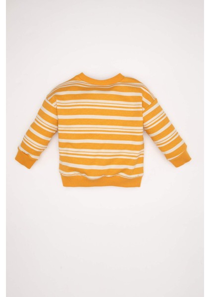 Erkek Bebek Bisiklet Yaka Çizgili İçi Yumuşak Tüylü Sweatshirt D4475A524AU indirimleri