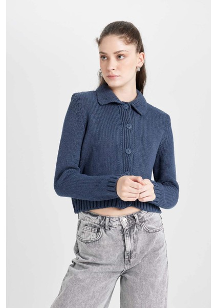 Regular Fit Polo Yaka Basic Düz Düğmeli Triko Hırka D5395AX24AU modelleri