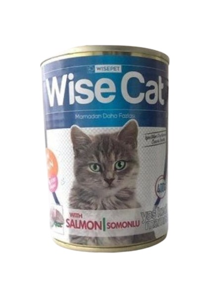 Somonlu Yetişkin Kedi Konserve 400 gr x 12 Adet
