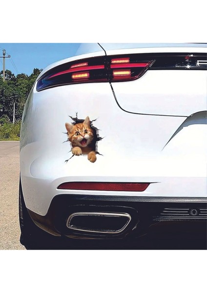 Kedi 3D Sticker Uv Soğuk Baskı Etiket Oto Aksesuar Suv Otomobil Motor Elektrikli Bisiklet
