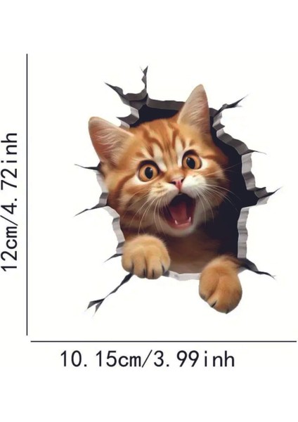 Kedi 3D Sticker Uv Soğuk Baskı Etiket Oto Aksesuar Suv Otomobil Motor Elektrikli Bisiklet