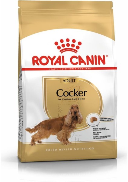 Royal Canin Cocker Adult Cocker Irkı Yetişkin Köpek Maması 3 KG(STT.06/2025)