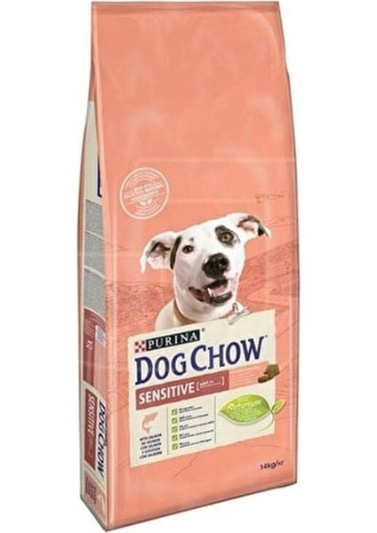 Dog Chow Adult Sensitive Somonlu Yetişkin Köpek Maması 14 KG(STT.04/2025)