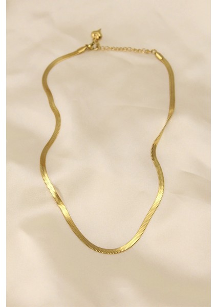 Muı Muı 316L Çelik Altın Renk 45 cm Italyan Zincir Model Kadın Kolye