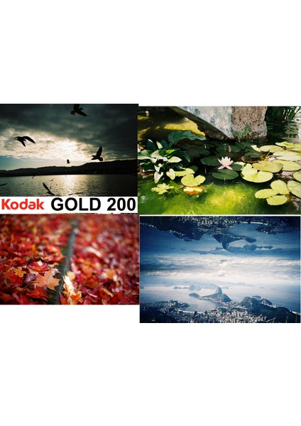 Renkli Analog Fotoğraf Filmi KODAKGOLD200 2ALANA 1ultramax