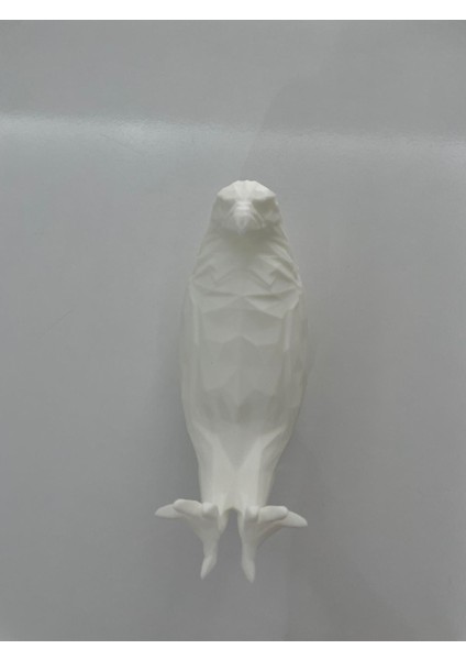 Kartal Duvar Lambası fırsatları