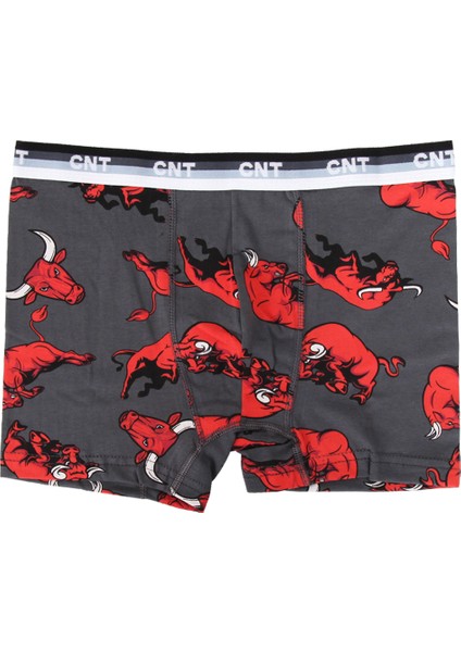 Erkek Çocuk 6'lı Karışık Desenli Boxer - Özel Kutusunda modelleri