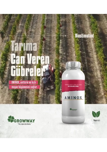 Amınox Hayvansal Menşeli Amino Asit Içeren Sıvı Organik Gübre1 Lt fiyatları