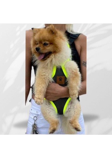 Kedi Köpek Ana Kucağı