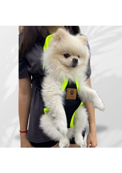 Kedi Köpek Ana Kucağı
