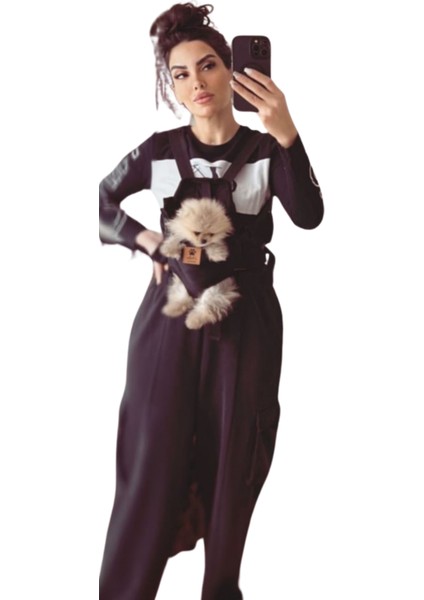 Kedi Köpek Ana Kucağı