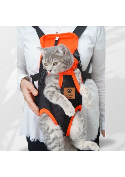 Kedi Köpek Ana Kucağı