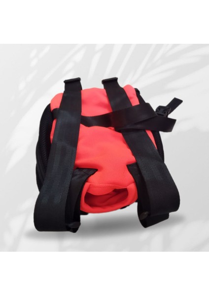 Kedi Köpek Ana Kucağı modelleri