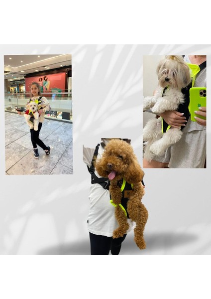 Kedi Köpek Ana Kucağı indirimleri