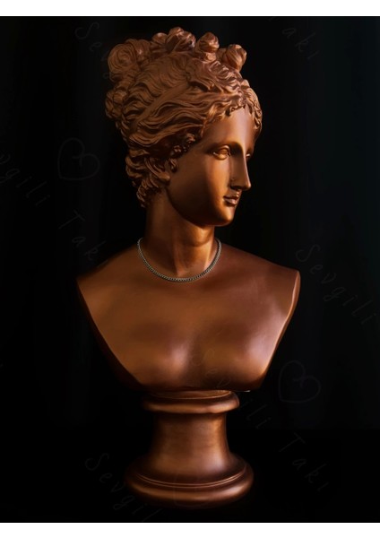 Ince Gurmet Model Choker Çelik Zincir Kolye-Choker Serisi