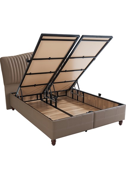 Asis Baza fiyatları