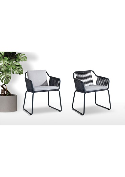 Riva Lounge 4lü Sandalye indirimleri