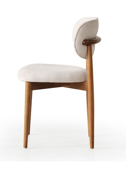 Farist Sandalye 6 Adet fiyatları