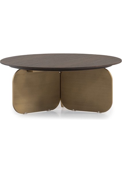 Camelia Orta Sehpa Seti fırsatları