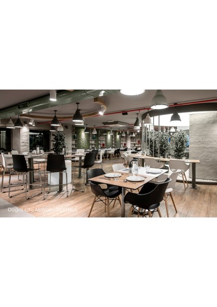 Opal Wox I Beech Sandalye 2 Adet indirimleri