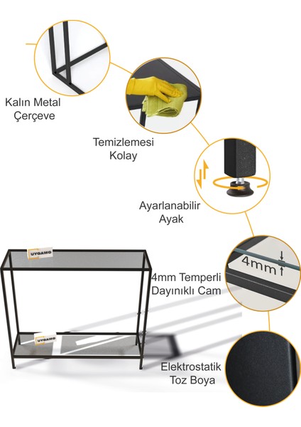 Vera Metal Dresuar Dekoratif Kahve Köşesi Konsol Siyah Füme Camlı modelleri