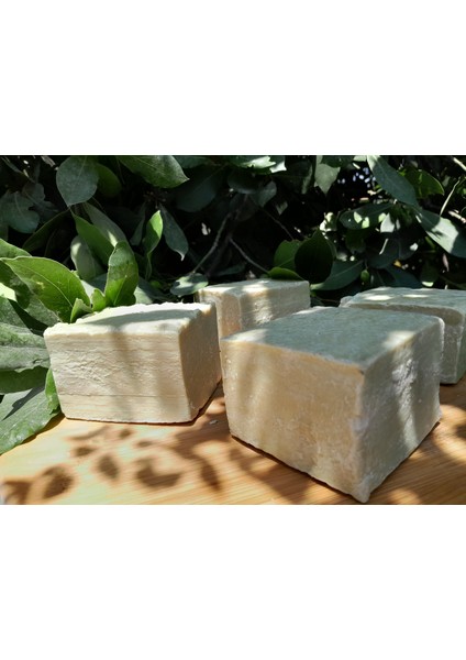 Zeytinyağlı Defneyağlı Sabun 500 gr fiyatları