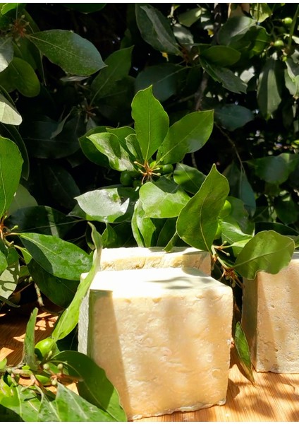 Zeytinyağlı Defneyağlı Sabun 500 gr indirimleri