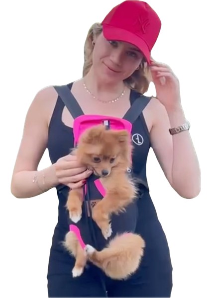 Kedi ve Köpek Ana Kucağı