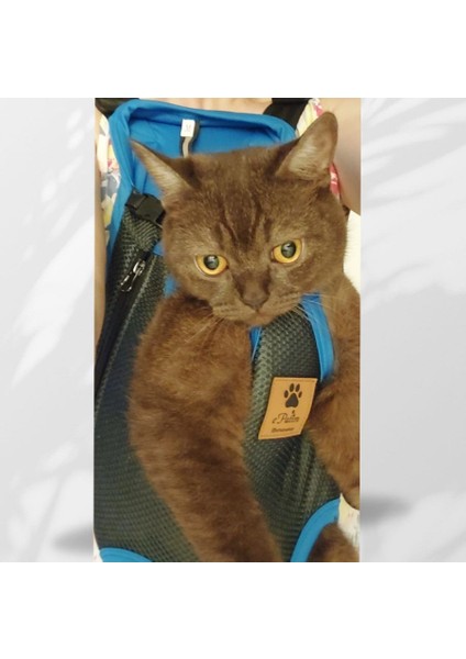 Kedi ve Köpek Ana Kucağı