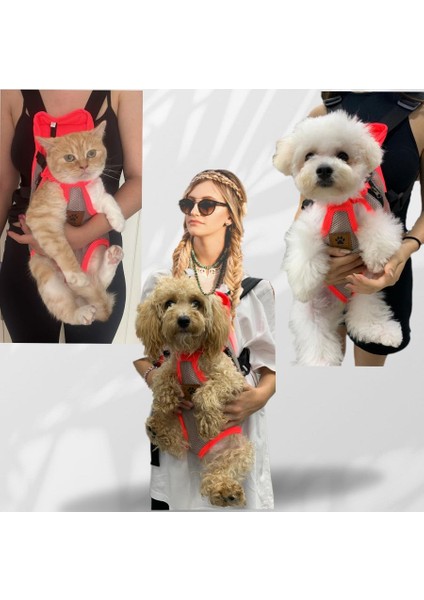 Kedi ve Köpek Ana Kucağı