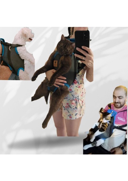 Kedi ve Köpek Ana Kucağı