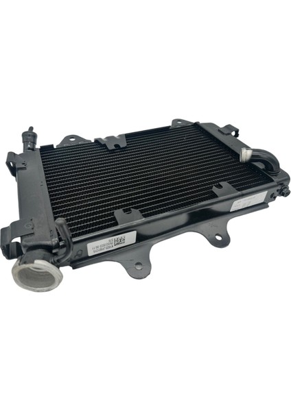 Bajaj Dominar D 250 Radyatör