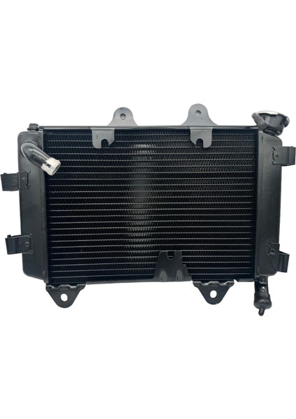 Bajaj Dominar D 250 Radyatör modelleri