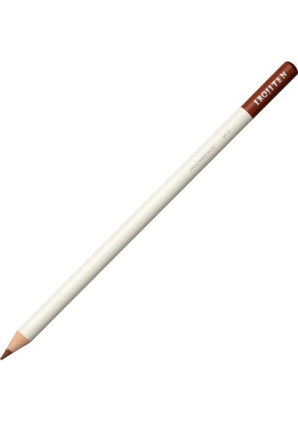 Irojiten Boya Kalemi Autumn Leaf