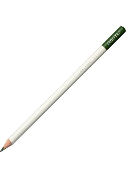 Irojiten Boya Kalemi Cactus Green