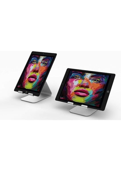 B1-30 Notebook Stand (Silver)
