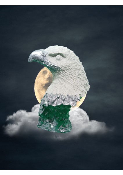 Silver White Kartal