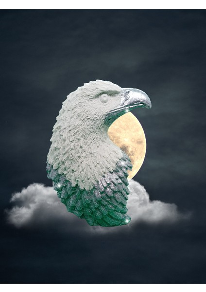Silver White Kartal