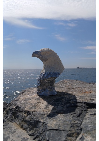Silver White Kartal