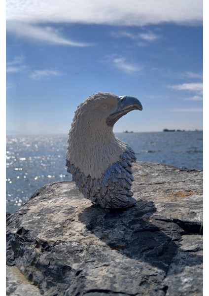 Silver White Kartal