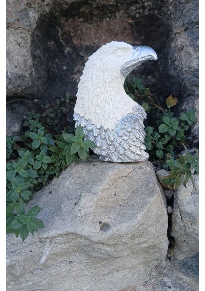 Silver White Kartal