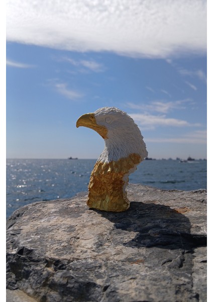 Golden White Kartal
