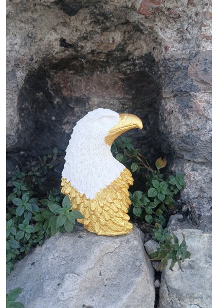 Golden White Kartal