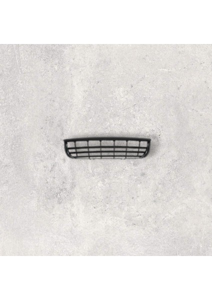 2E0807835A Tampon Orta Izgara - Crafter 2016