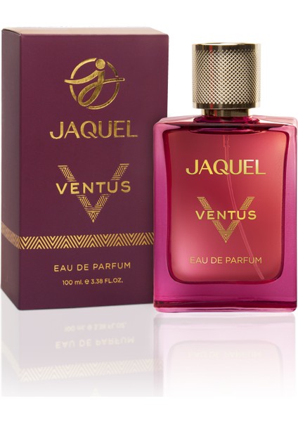 Ventus Erkek Parfümü 100 ml
