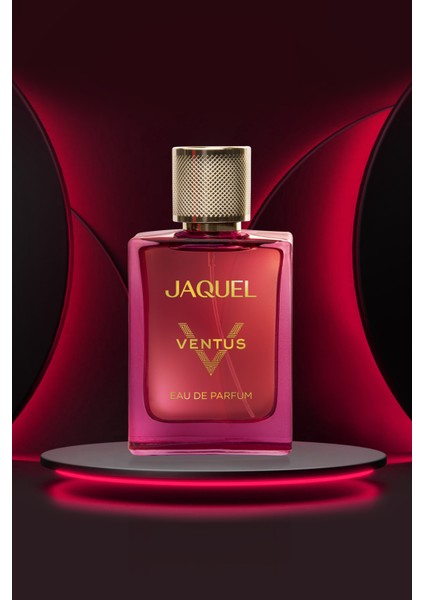 Ventus Erkek Parfümü 100 ml